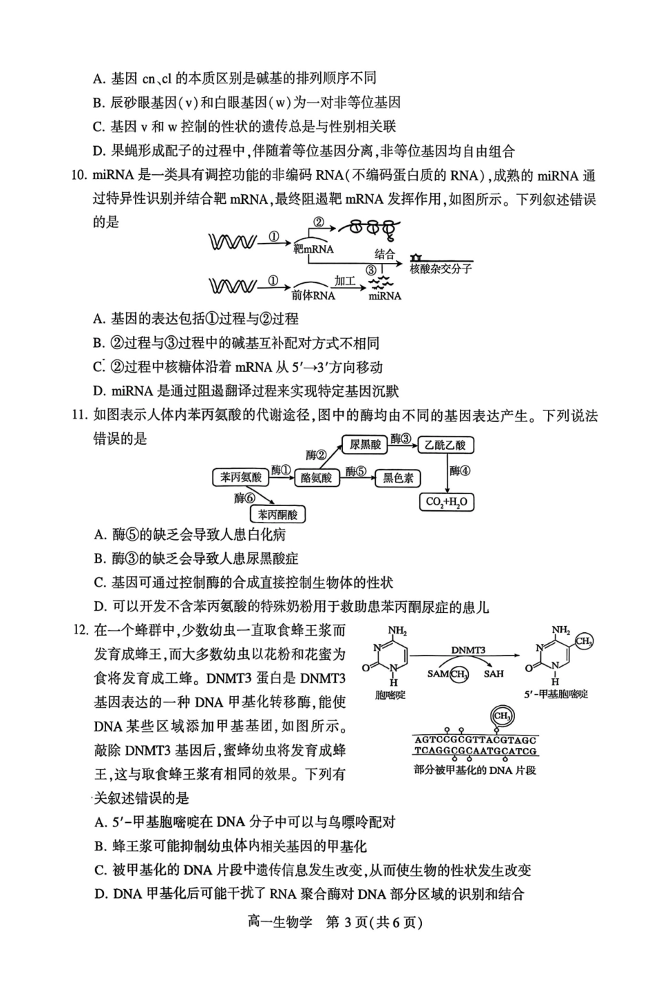 生物试卷【河南卷】【高一下期末考】河南省许昌市XCS2024-2025学年第二学期高一7月期末教学质量检测(7.9-7.11).pdf_第3页