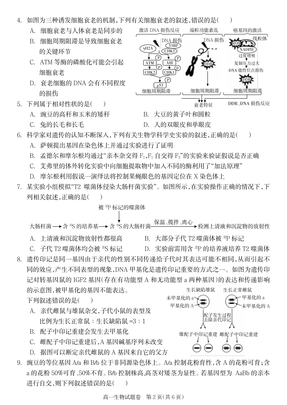 生物试卷【湖南卷】【高一下期末考】湖南省邵阳市新邵县2024-2025学年高一下学期期末质量检测（6.30-7.2）.pdf_第2页