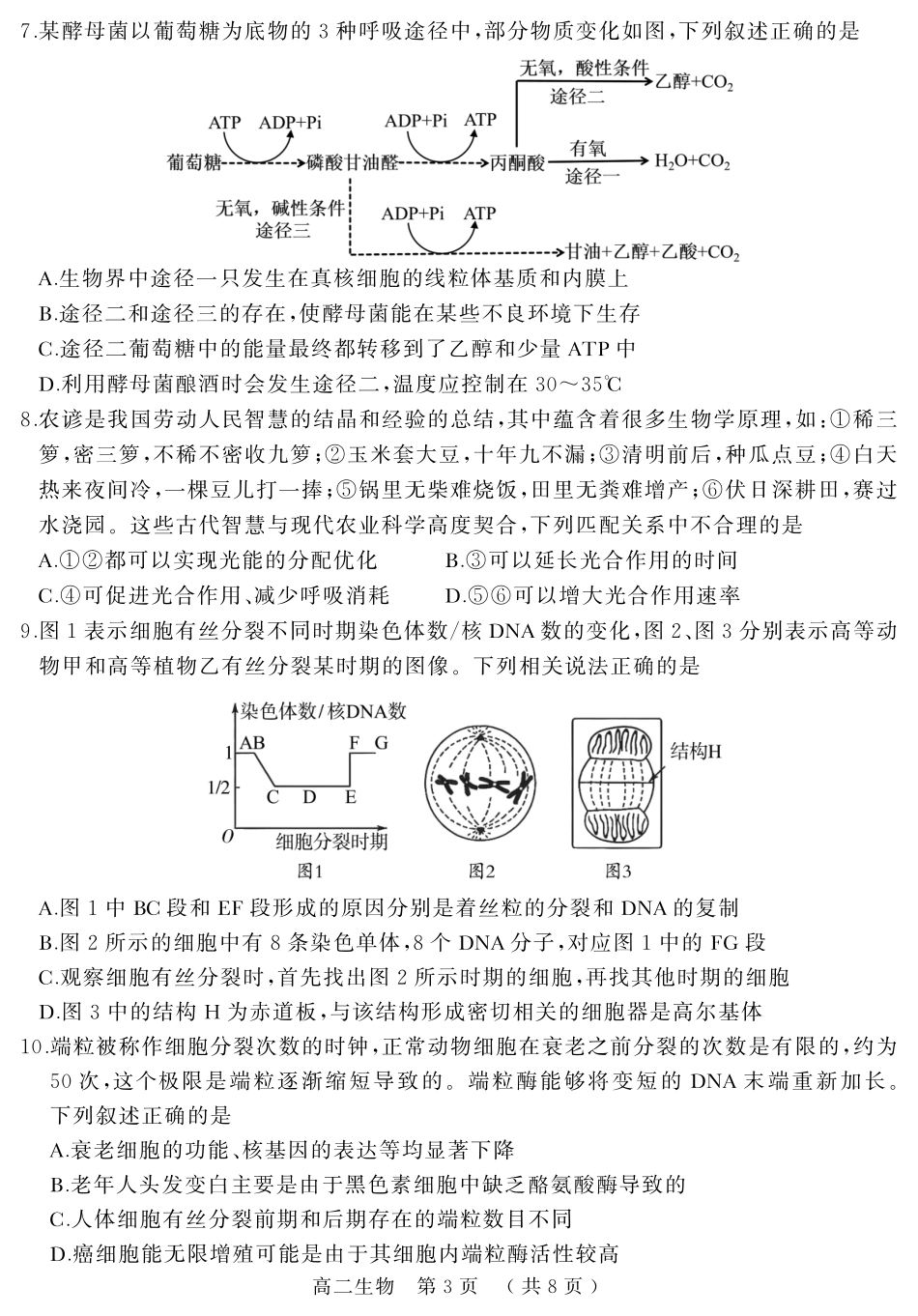 生物试卷+答案【河南卷】【高二下期末考】河南省驻马店市2024~2025学年度第二学期高二年级期末质量监测(7.9-7.10)(1).pdf_第3页