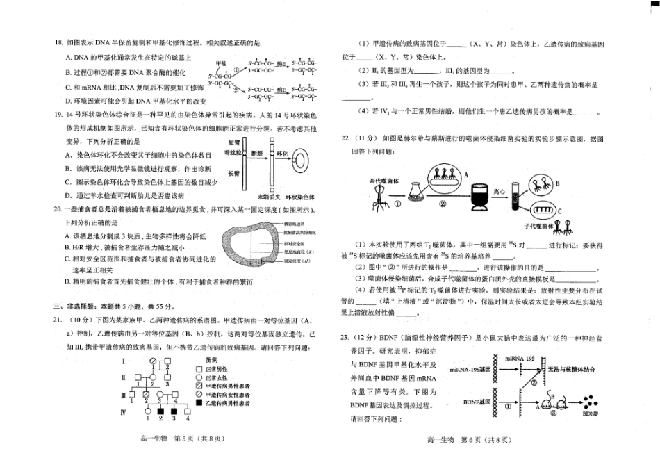 生物试卷+答案【黑吉辽蒙卷】【高一下期末考】辽宁省葫芦岛市普通高中2024-2025学年高一下学期期末考试试卷（7.15-7.16）.pdf_第3页