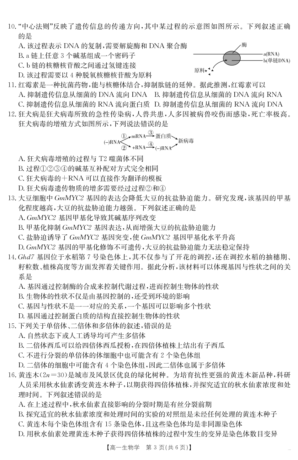 生物学试卷【新疆卷】【高一】新疆金太阳2024-2025学年高一下学期7月联考试卷（金太阳25-584A）（7.7-7.8）全科试卷+答案.pdf_第3页