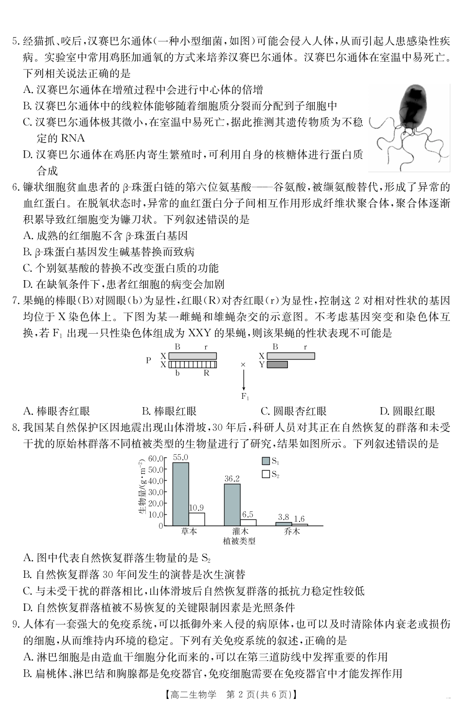 云南省曲靖市陆良县2024-2025学年高二下学期期末考试生物学.pdf_第2页