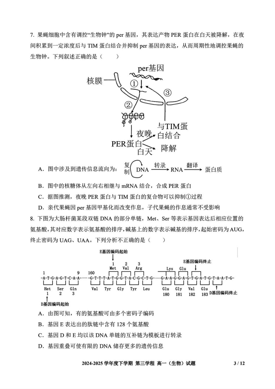长春市十一高中2024-2025学年高一下学期第三学程考试（期末）生物+答案.pdf_第3页