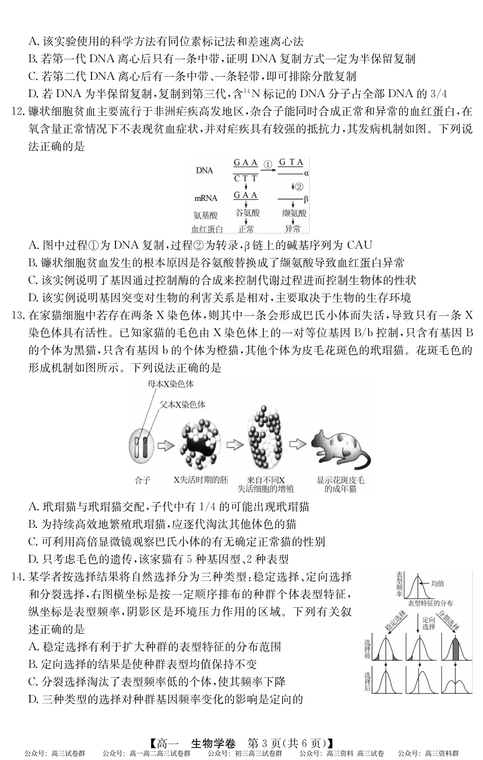 2024-2025学年第二学期高一期末教学质检（纵横文化）5466A 生物学.pdf_第3页