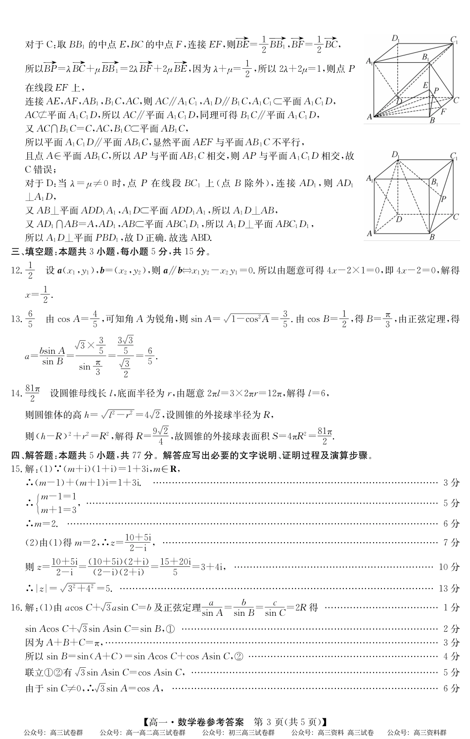 2024-2025学年第二学期高一期末教学质检（纵横文化）5466A 数学答案.pdf_第3页