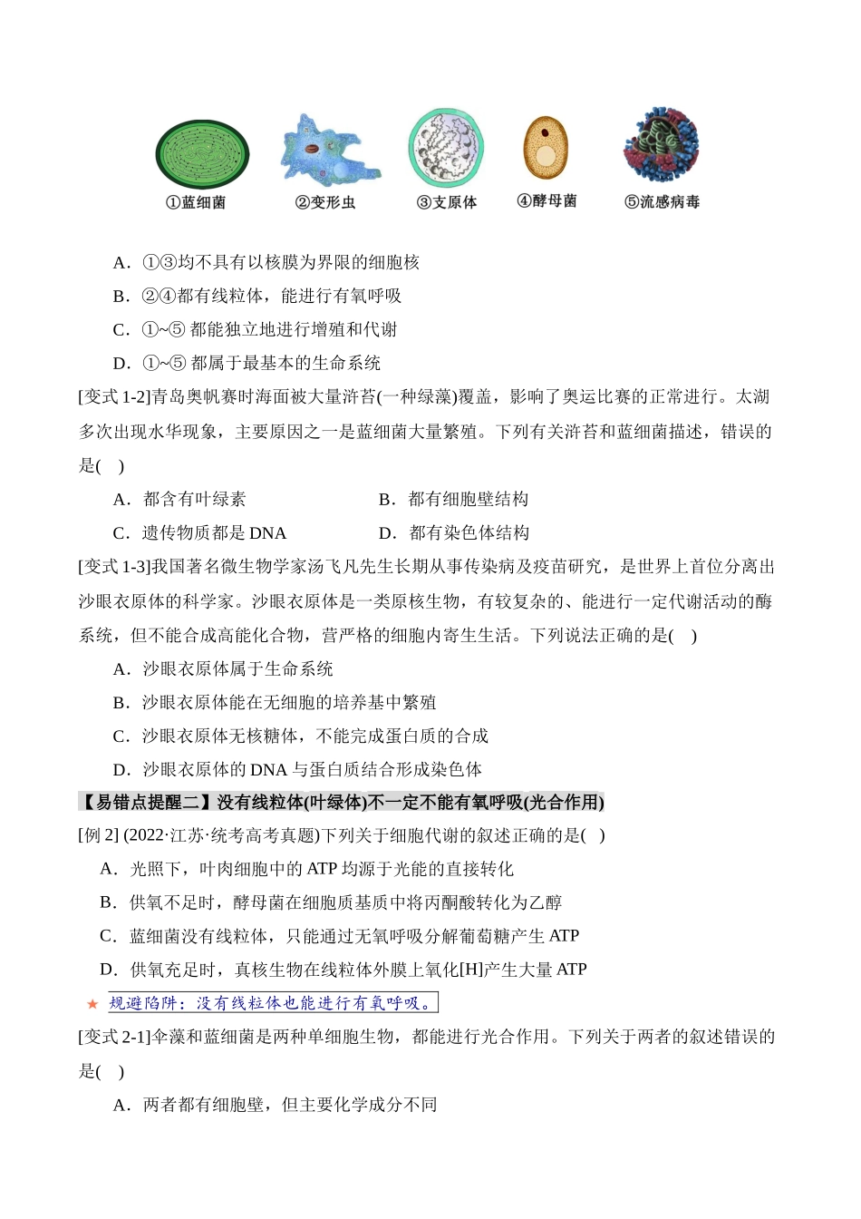 备战2025年高考生物易错点01 真核生物和原核生物的辨析（3大陷阱）（原卷版）.docx_第3页