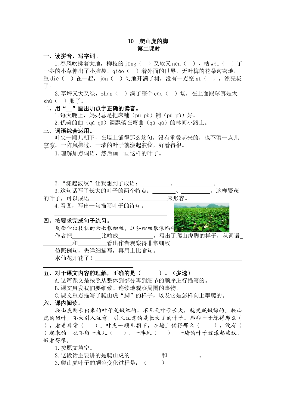 【统编版2025秋新教材】小学语文四年级上册第三单元-10 爬山虎的脚 课时练.doc_第3页