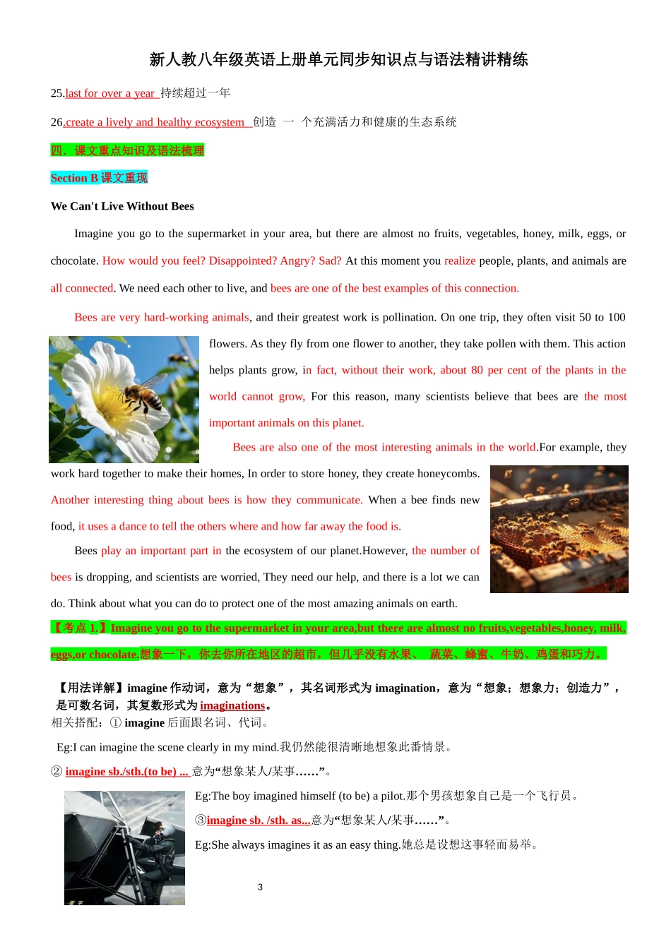 新人教八年级英语上册单元同步知识点与语法精讲精练-unit4 Amazing Plants and Animals-sectionB(教师版+学生版).docx_第3页