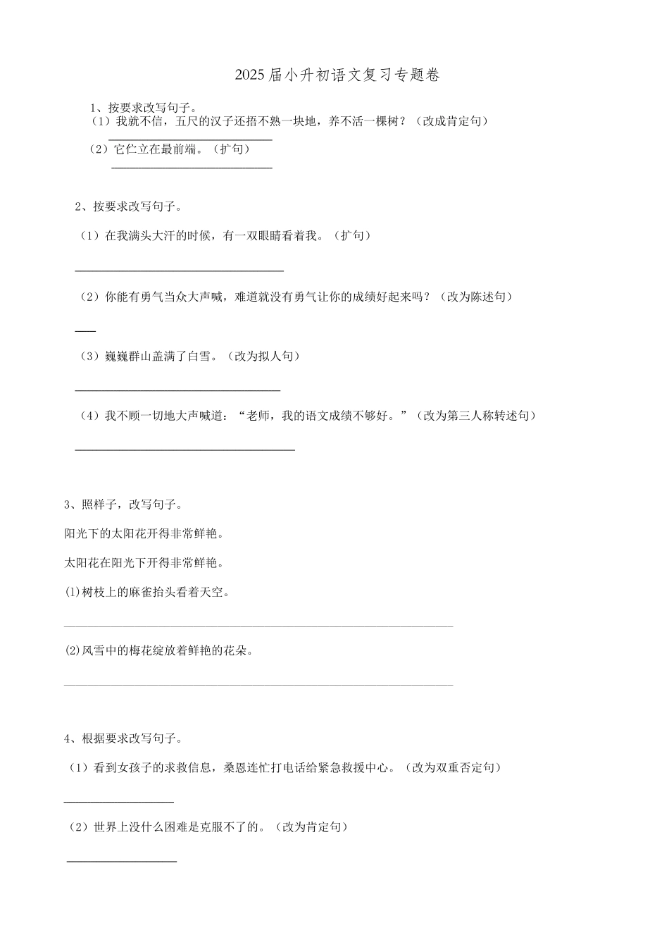 2025届六年级小升初语文专题复习-17句法改写句子（9P）（附答案解析）.doc_第1页