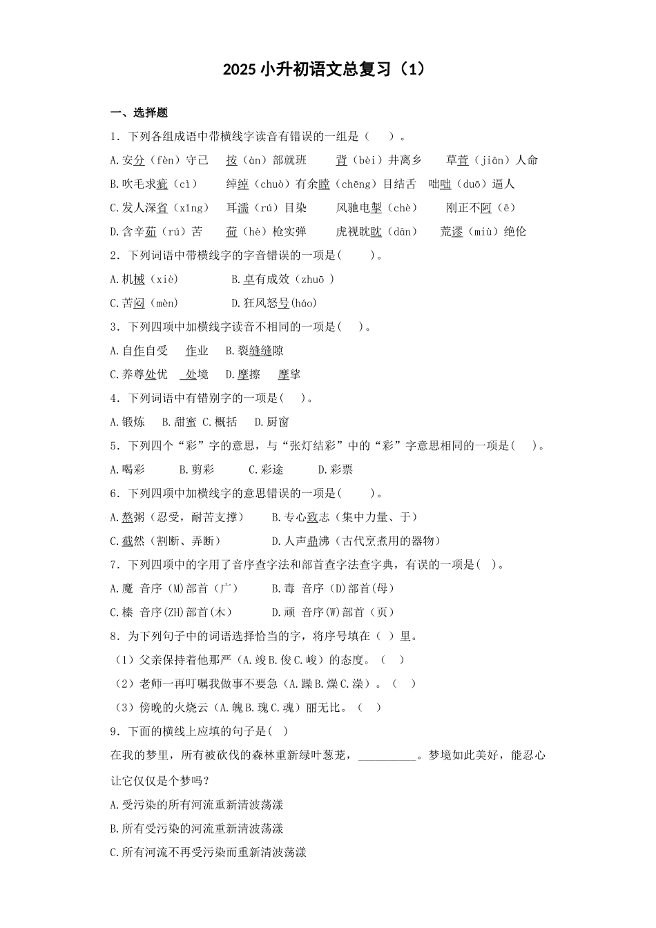 2025六年级小升初语文专项训练-总复习1（26P 详细解析）.docx_第1页