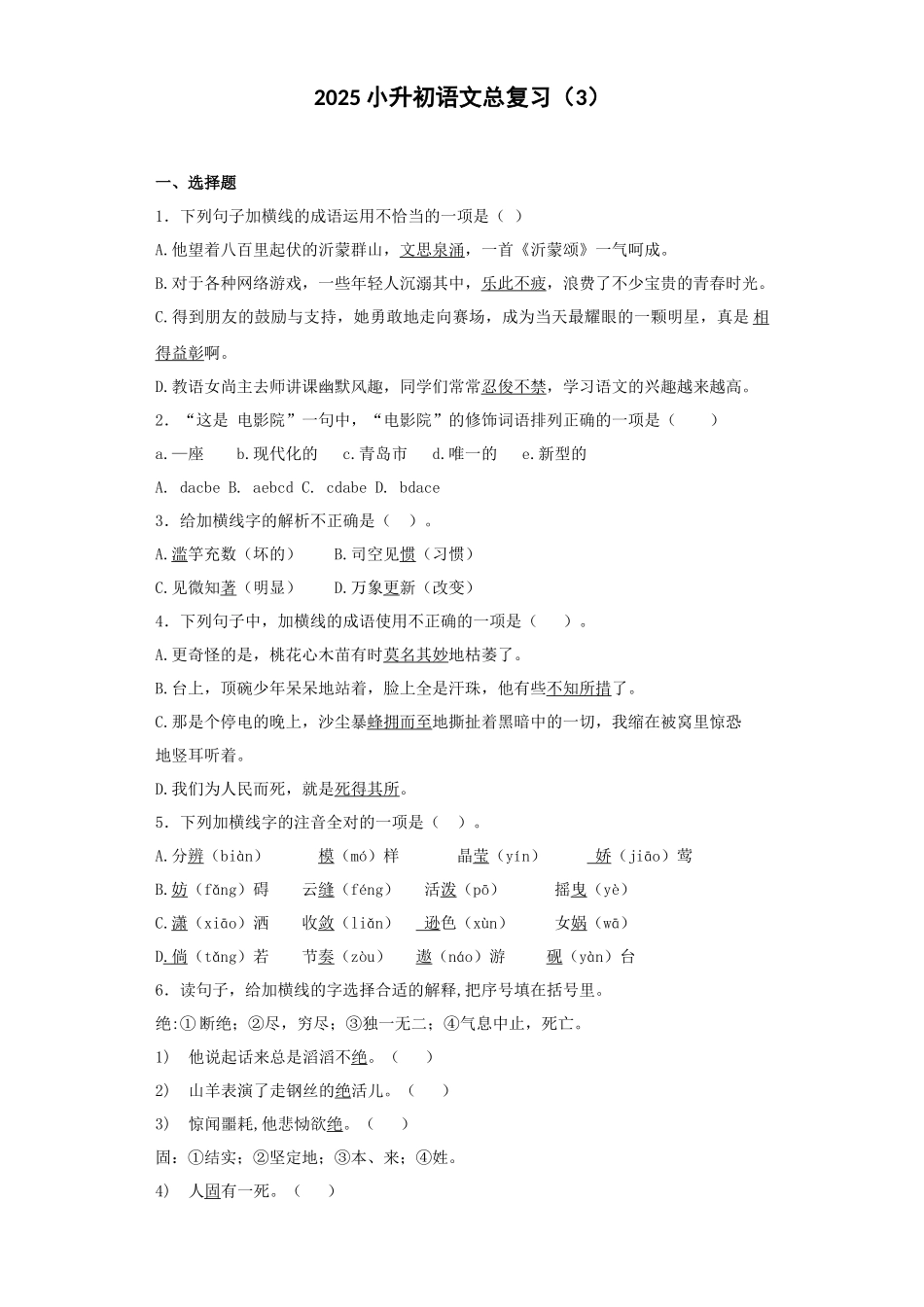 2025六年级小升初语文专项训练-总复习3（22P 详细解析）.docx_第1页