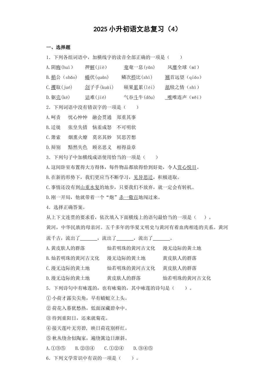 2025六年级小升初语文专项训练-总复习4（27P 详细解析）.docx_第1页