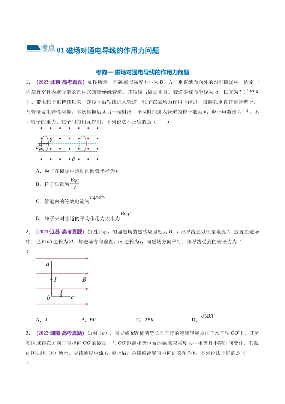 2024年高考物理二轮复习讲练测（新教材新高考）-专题10 磁场 带电粒子在磁场中的运动（练习）（原卷版）.docx_第2页