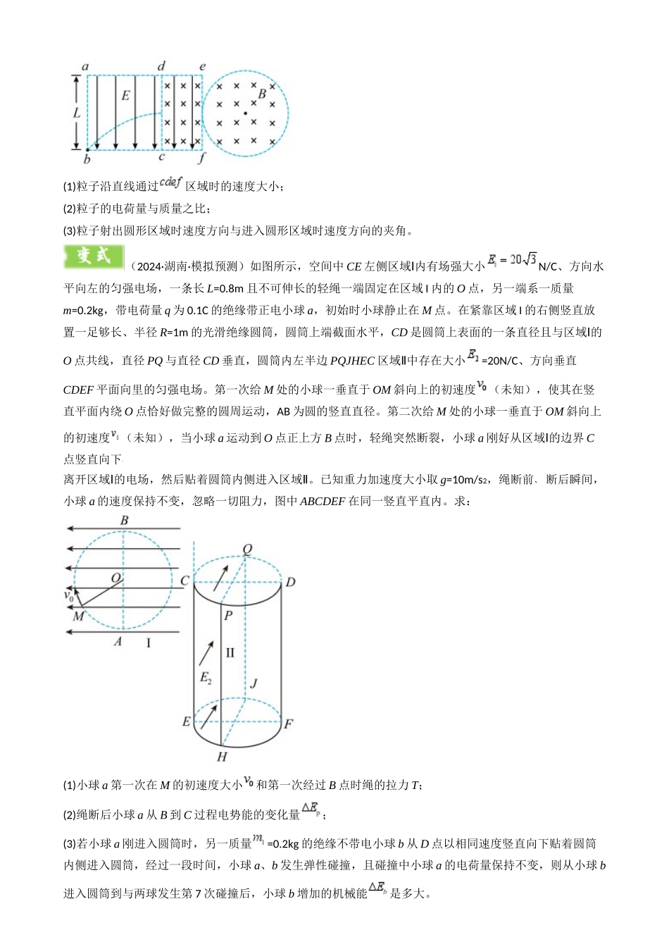 2025年高考物理答题技巧与模板构建-模板11-2 磁场（四大题型）（原卷版）.docx_第3页