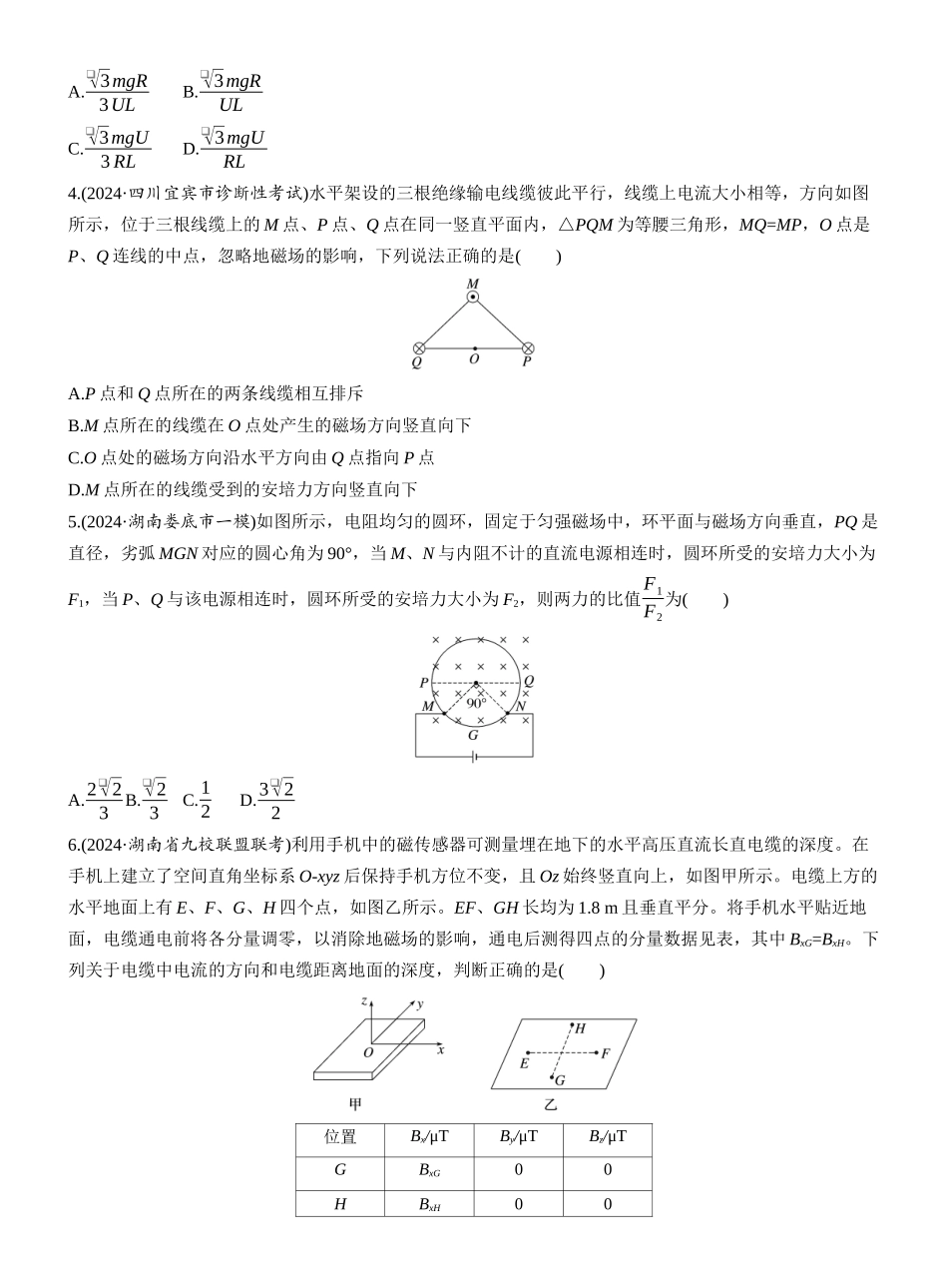 2025年高考物理大二轮-热点10　磁场的性质.docx_第2页