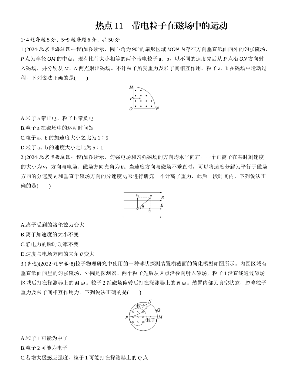 2025年高考物理大二轮-热点11　带电粒子在磁场中的运动.docx_第1页