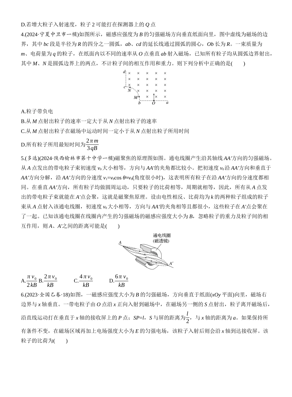 2025年高考物理大二轮-热点11　带电粒子在磁场中的运动.docx_第2页