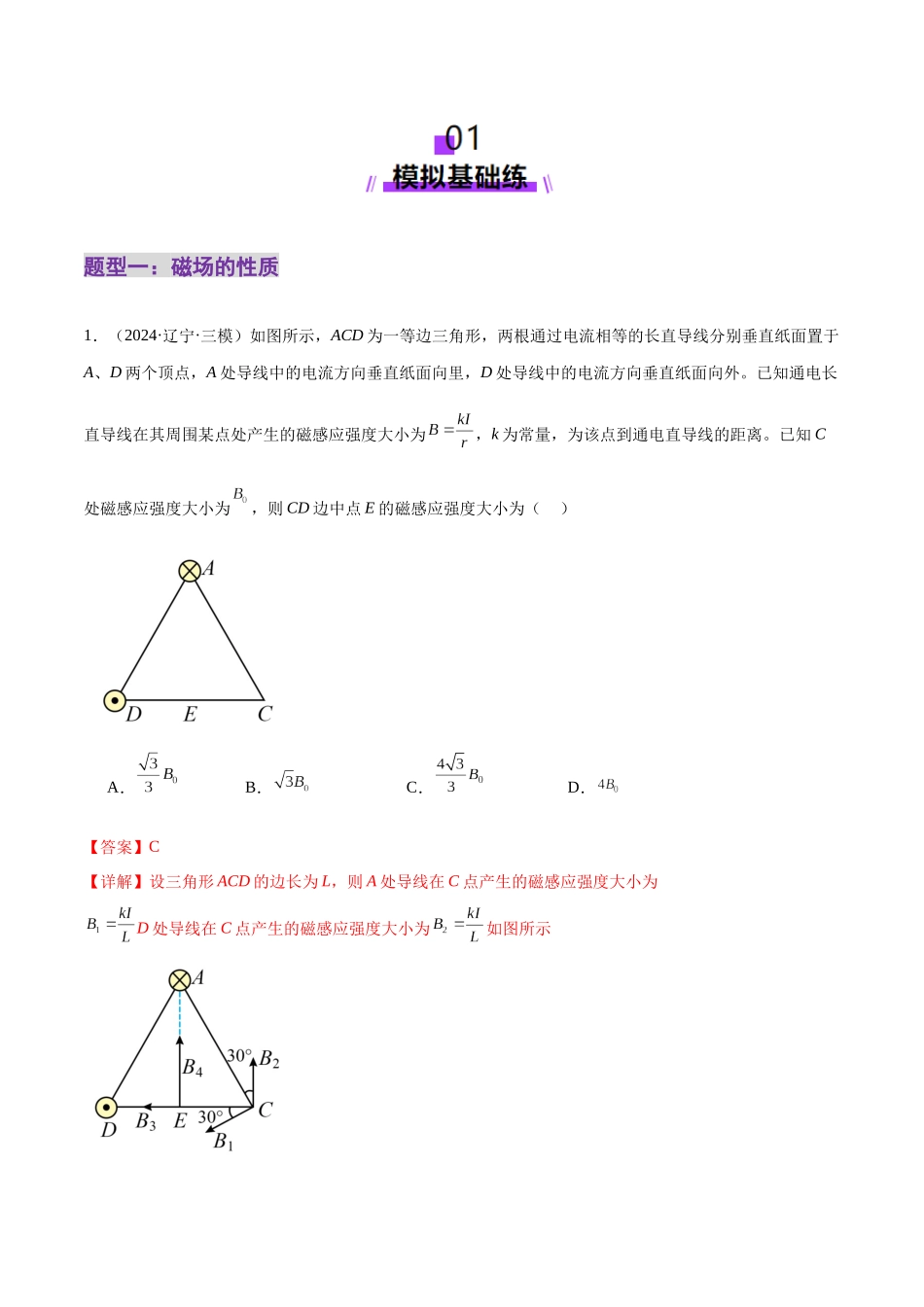 2025年上好课高考物理二轮复习讲练测（新高考通用）-专题10 磁场 带电粒子在磁场中的运动（练习）（解析版）.docx_第2页