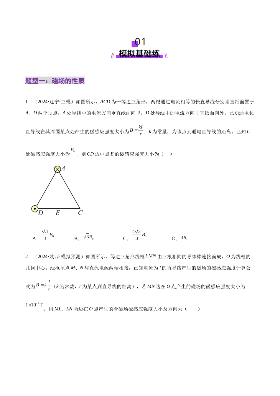 2025年上好课高考物理二轮复习讲练测（新高考通用）-专题10 磁场 带电粒子在磁场中的运动（练习）（原卷版）.docx_第2页