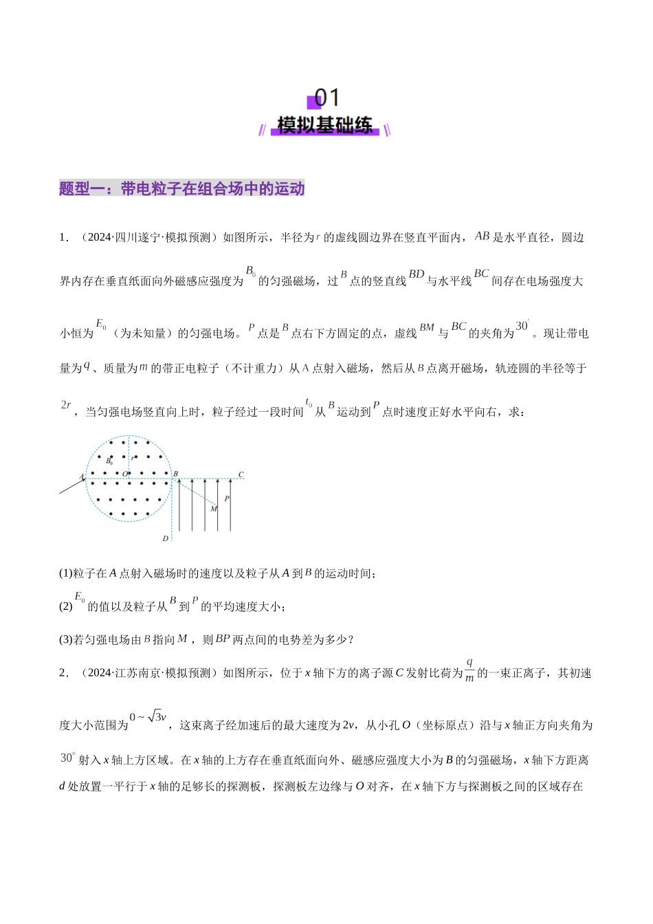 2025年上好课高考物理二轮复习讲练测（新高考通用）-专题11 带电粒子在复合场中的运动（练习）（原卷版）.docx_第2页