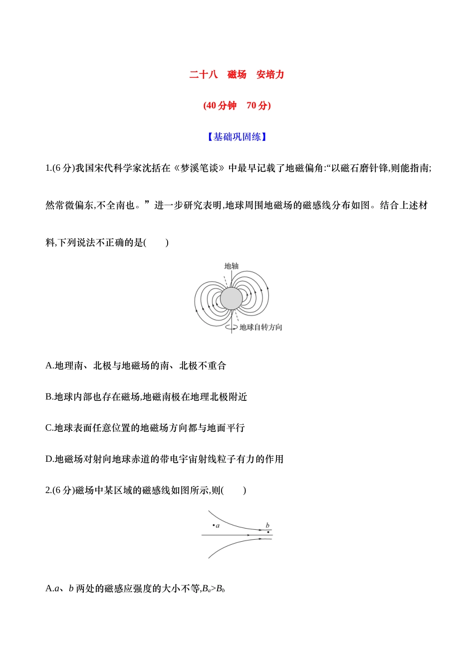 2025新高考物理核心素养测评-二十八：磁场 安培力（含解析）.docx_第1页
