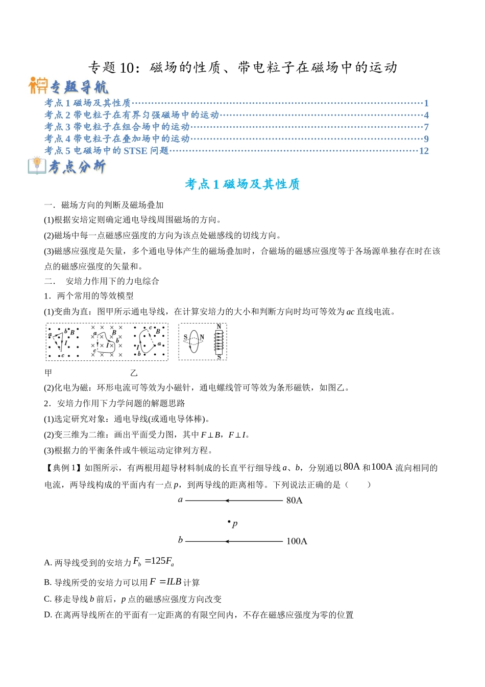 高考物理毕业班二轮热点题型归纳与变式演练（全国通用）-专题10：磁场的性质、带电粒子在磁场中的运动(解析版).docx_第1页