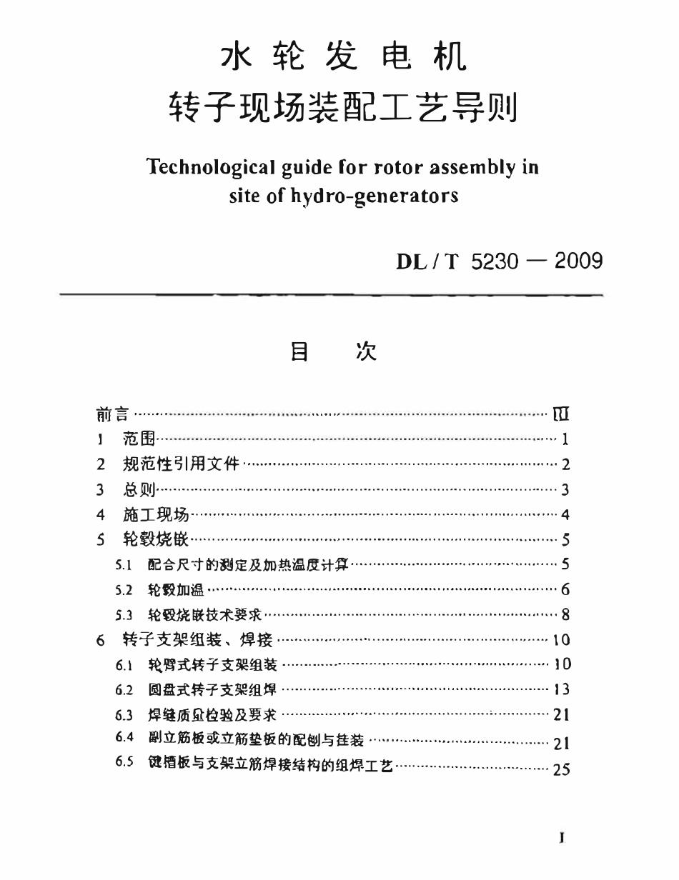 DLT 5230-2009 水轮发电机转子现场装配工艺导则.pdf_第1页