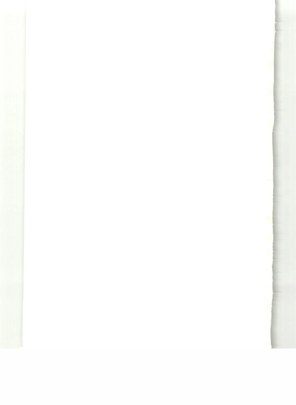 DL_5190_5_2019_电力建设施工技术规范_第5部分_管道及系统_1-25.pdf_第2页