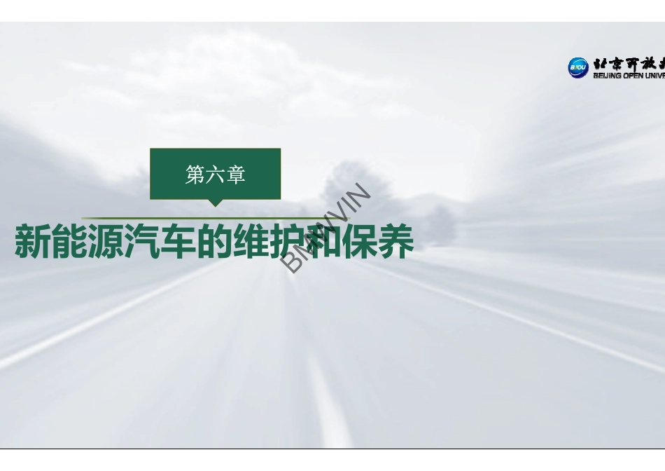 1.新能源汽车.pdf_第2页