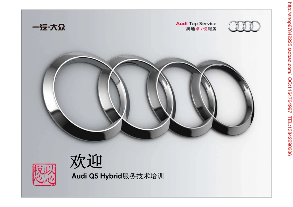 Q5Hybrid欢迎.pdf_第1页