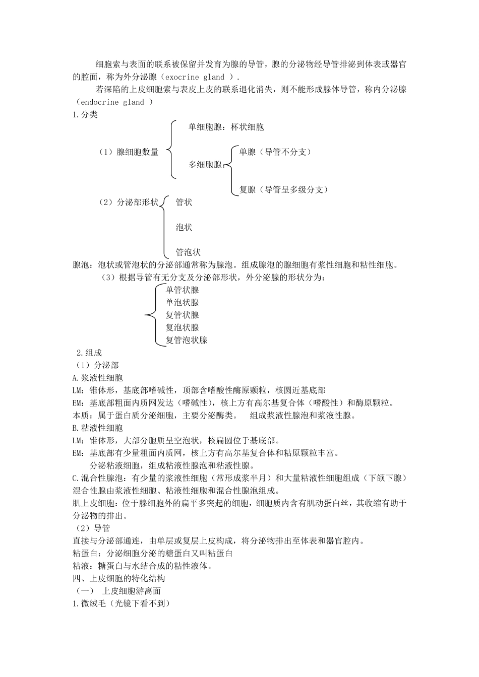 组织学与胚胎学笔记.pdf_第3页