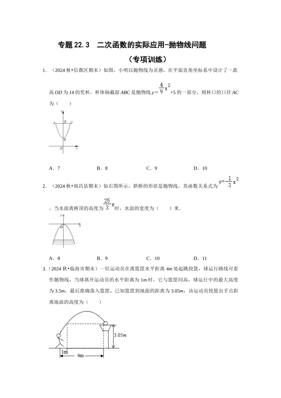 25-26学年人教九年级数学上册专项训练测试-专题22.3  二次函数的实际应用-抛物线问题（附名师详解）.docx_第1页