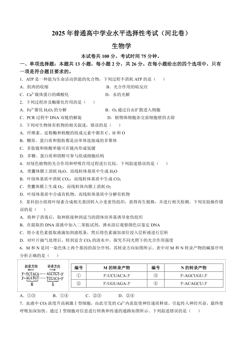 2025年高考河北生物真题（原卷版）.pdf_第1页