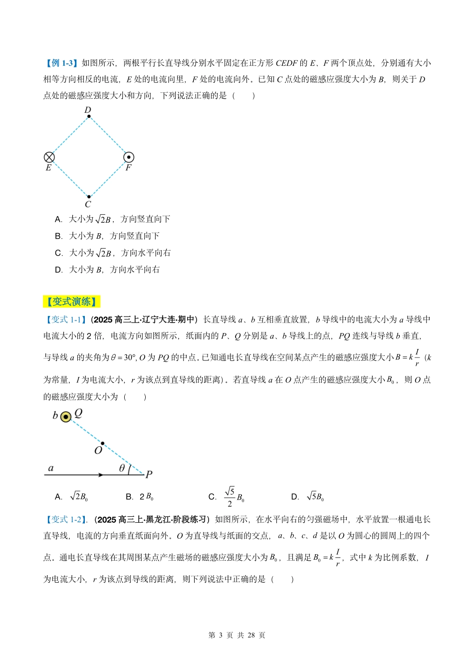 2025年高考物理二轮复习考点、热点题型归纳（新高考通用）-专题05  磁场（原卷版）.pdf_第3页