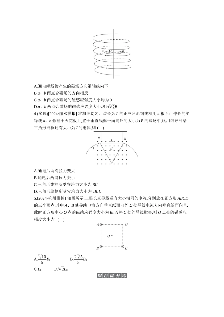 2026年全品选考复习方案物理01 第28讲　磁场的描述　磁场对电流的作用 【正文】作业正文.docx_第2页
