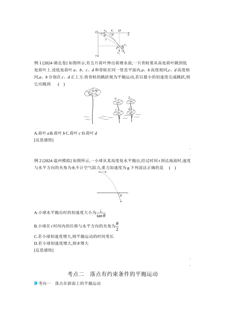 2026年全品选考复习方案物理03 第10讲　抛体运动 【正文】听课正文.docx_第2页