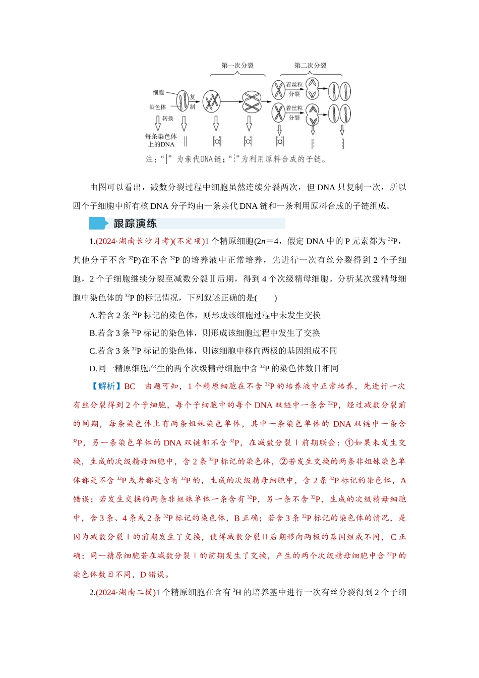 学海导航2026届高考一轮总复习生物学专题6 微专题5　DNA复制与细胞分裂中染色体标记问题.docx_第3页