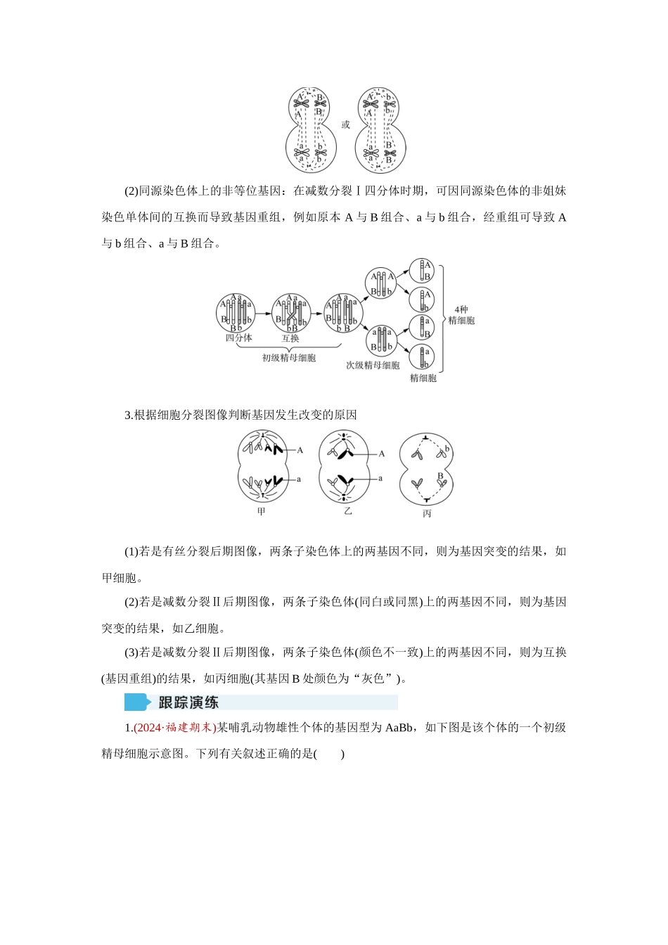 学海导航2026届高考一轮总复习生物学专题7 微专题六　细胞分裂与遗传变异的关系.docx_第2页