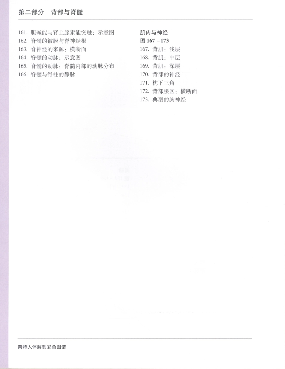 06奈特人体解剖彩色图谱（第三版）_17-24.pdf_第2页