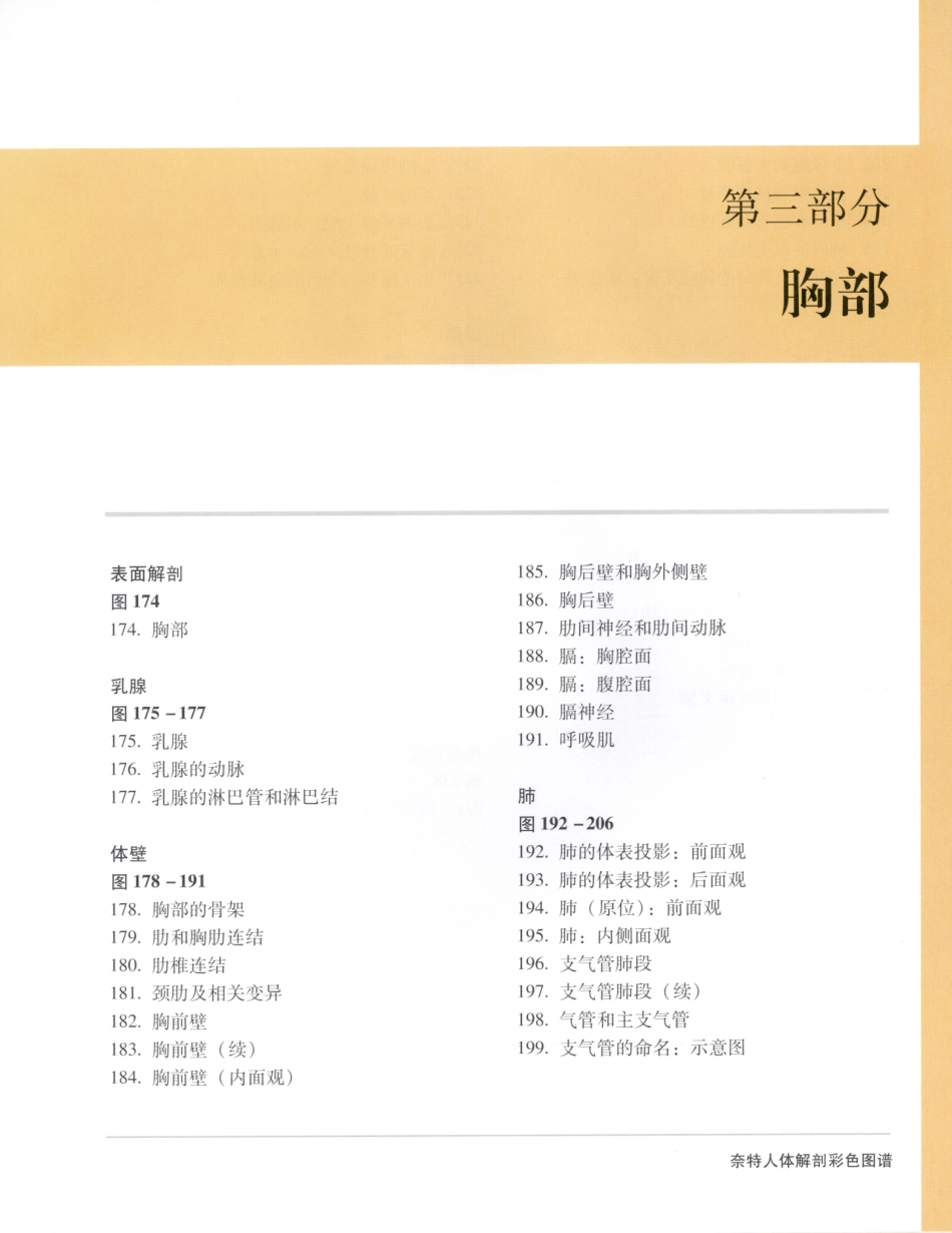 06奈特人体解剖彩色图谱（第三版）_17-24.pdf_第3页