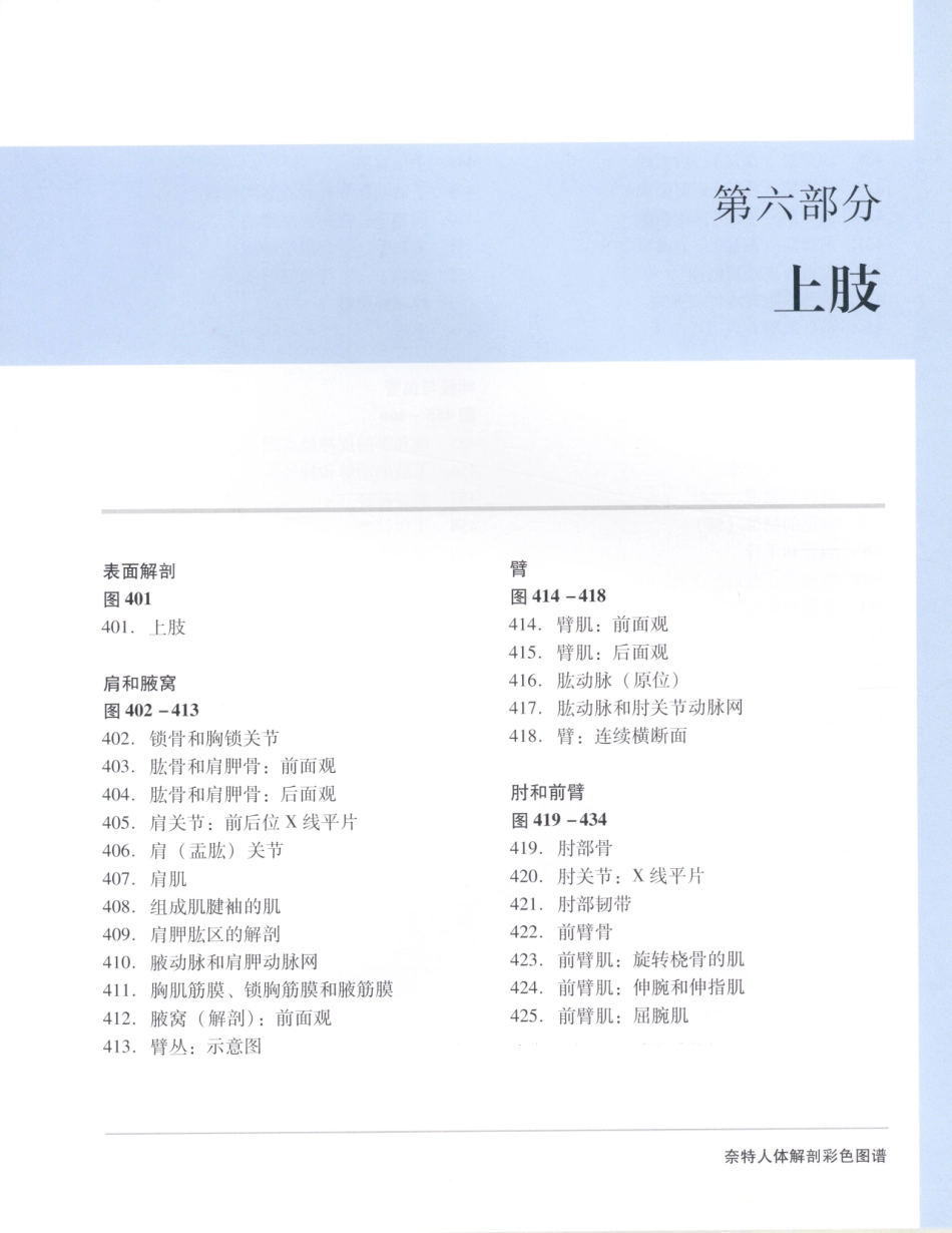 06奈特人体解剖彩色图谱（第三版）_25-32.pdf_第2页