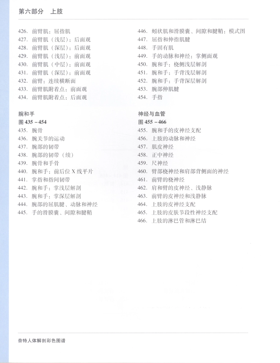 06奈特人体解剖彩色图谱（第三版）_25-32.pdf_第3页
