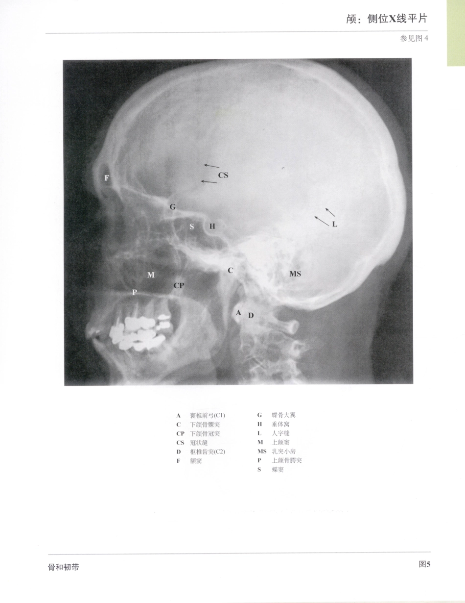 06奈特人体解剖彩色图谱（第三版）_33-40.pdf_第3页