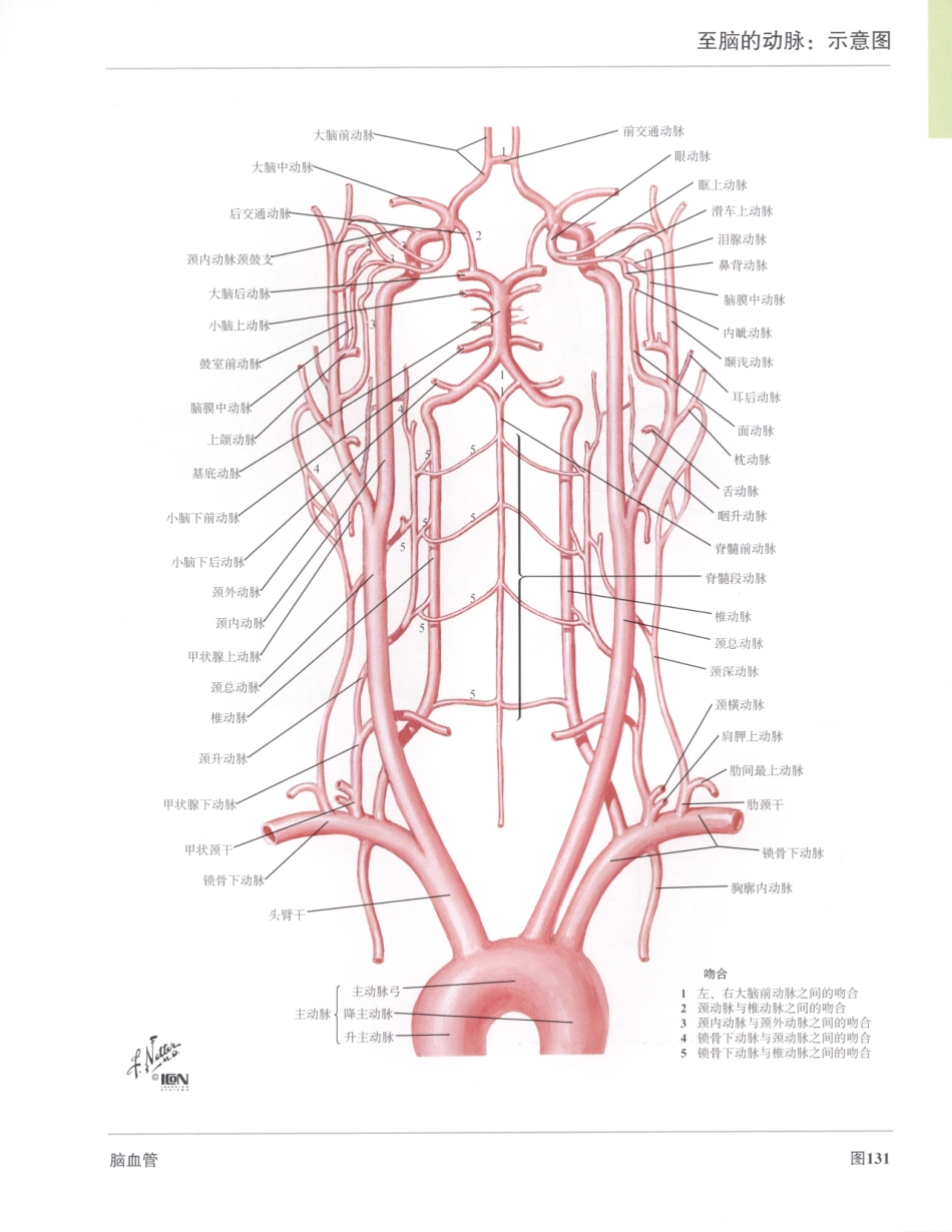 06奈特人体解剖彩色图谱（第三版）_161-168.pdf_第1页