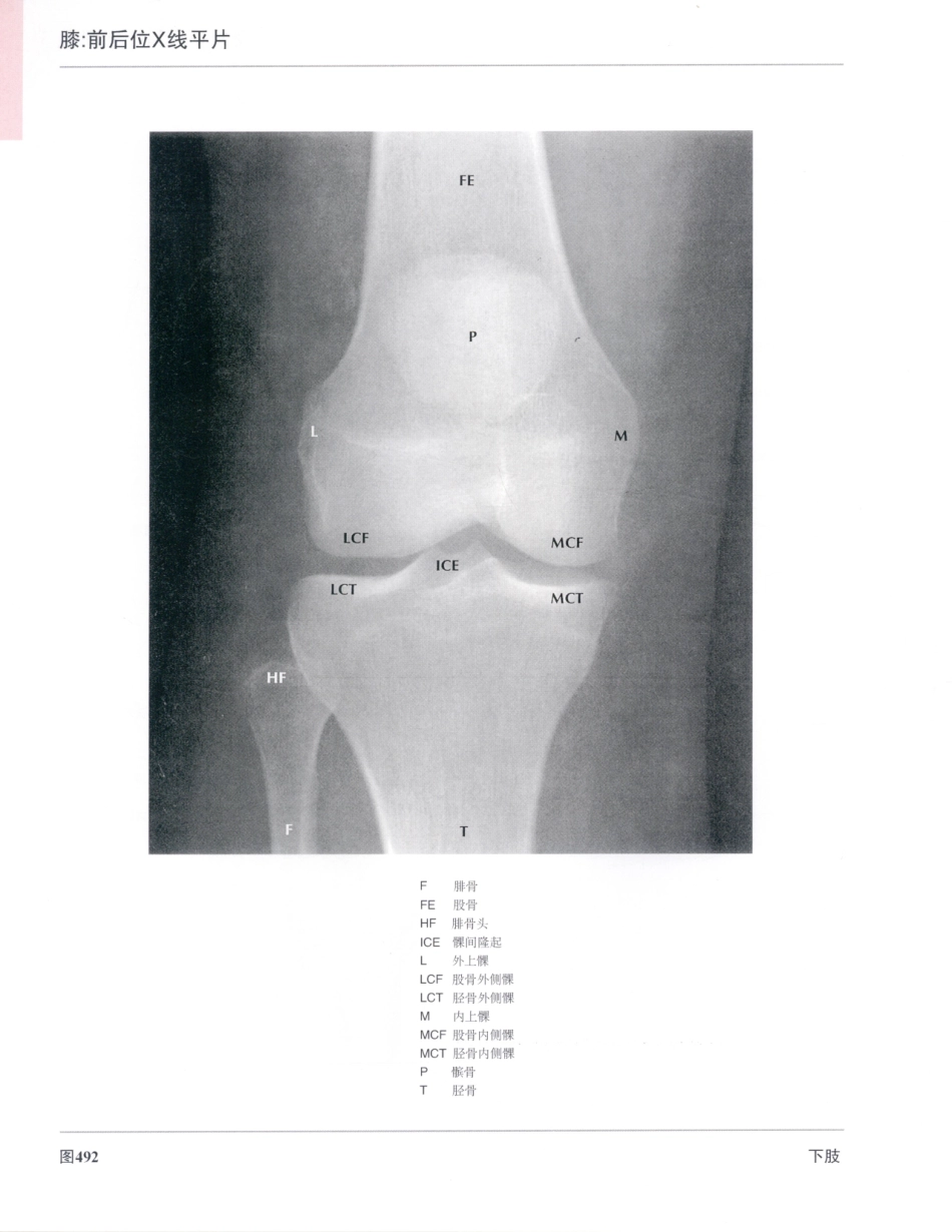 06奈特人体解剖彩色图谱（第三版）_521-528.pdf_第2页