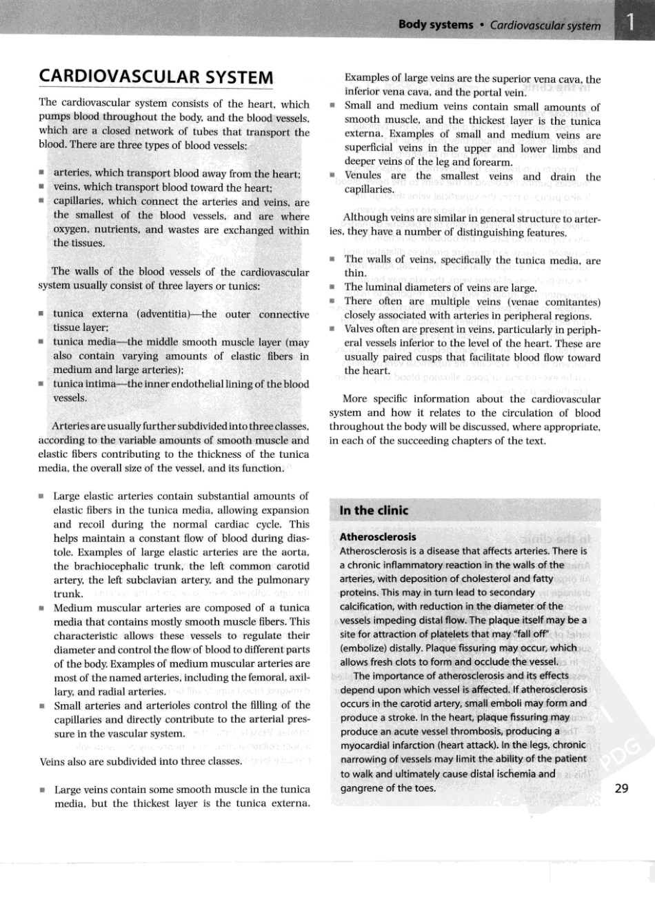 格氏解剖学教学版++第2版_51-100.pdf_第3页