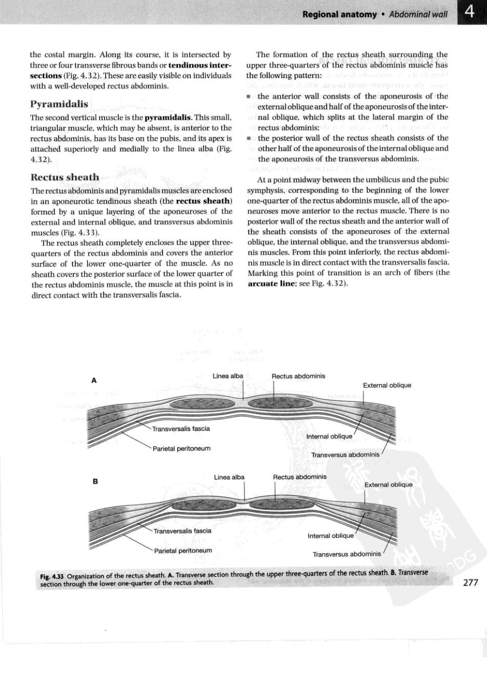 格氏解剖学教学版++第2版_301-350.pdf_第1页