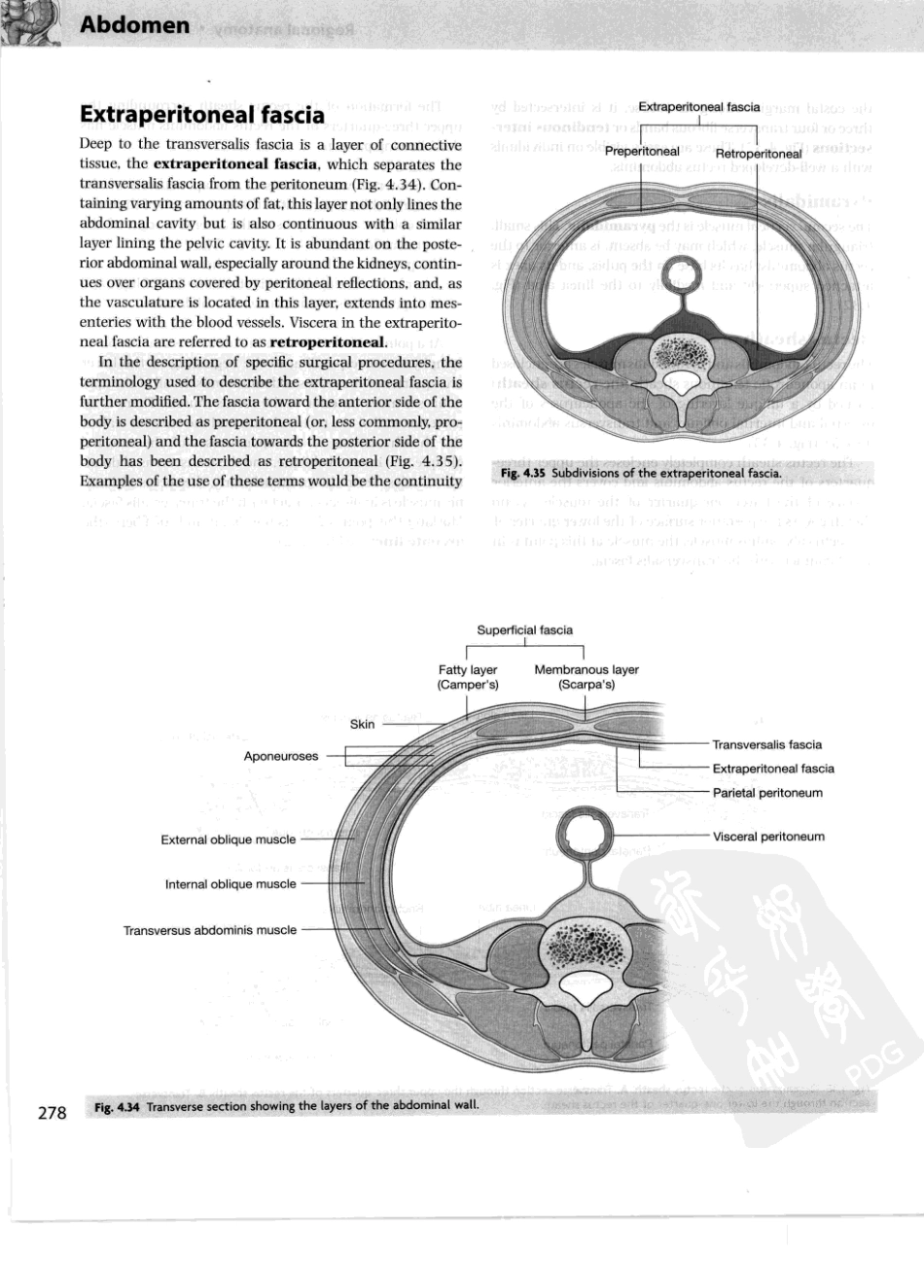 格氏解剖学教学版++第2版_301-350.pdf_第2页