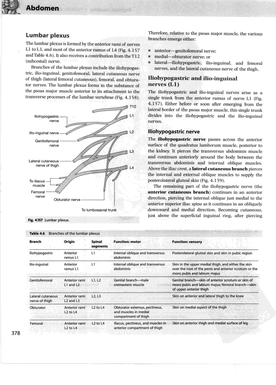 格氏解剖学教学版++第2版_401-450.pdf_第2页