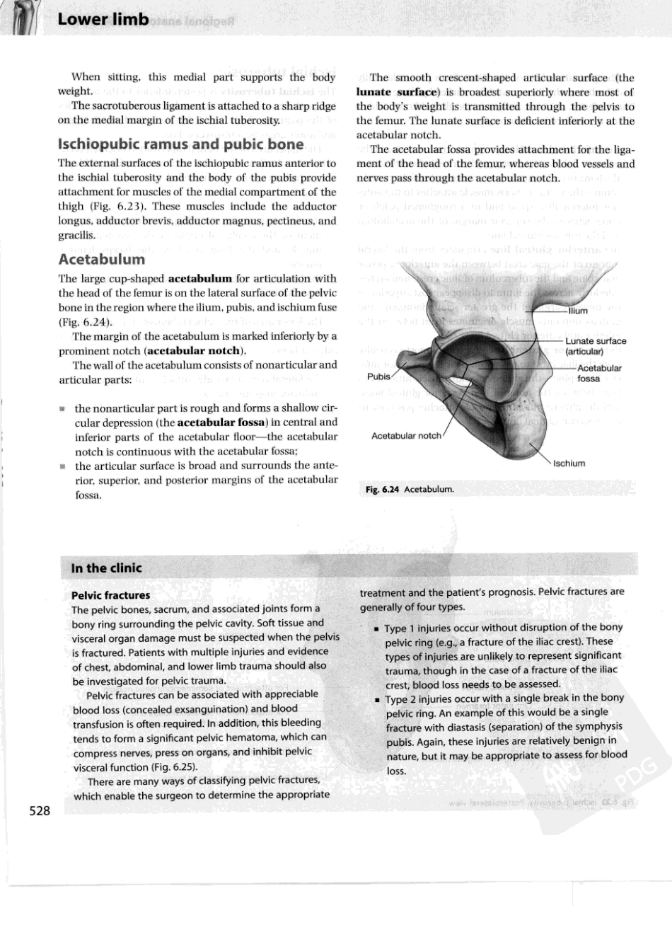 格氏解剖学教学版++第2版_551-600.pdf_第2页